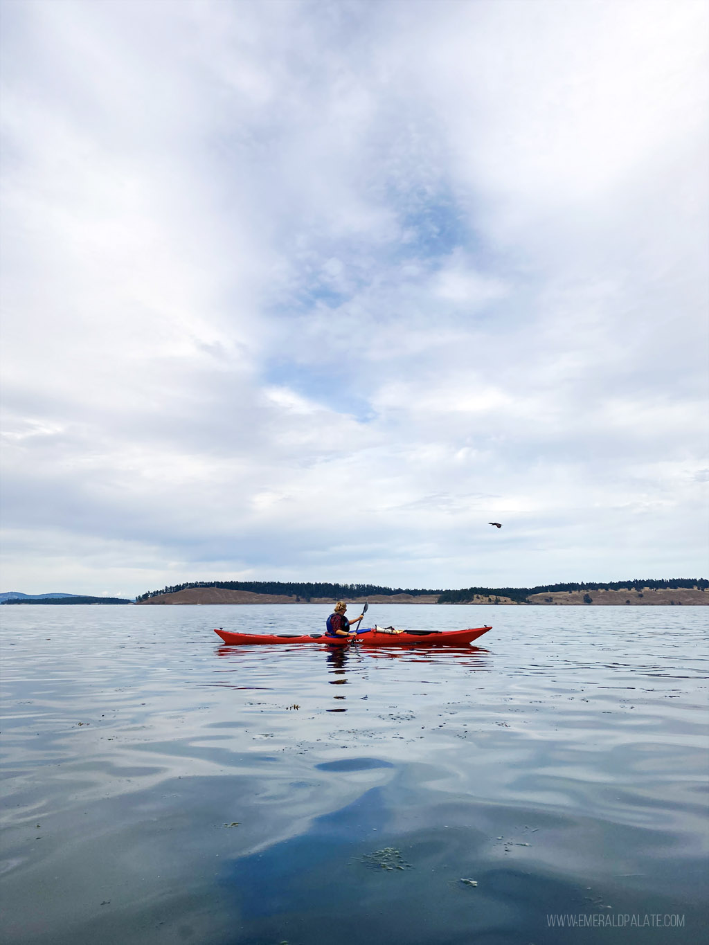 woman kayaking off coast of San Juan Island