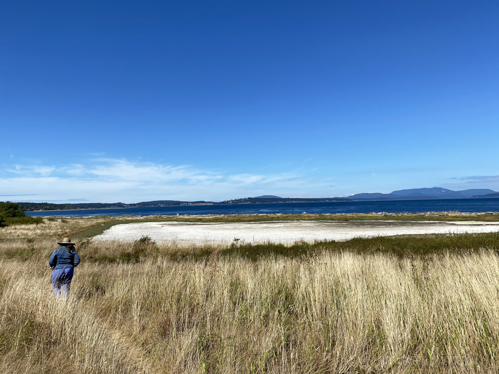 Jackle's Lagoon on one of the islands near Seattle WA