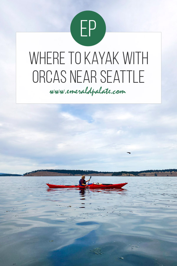 where to kayak with orcas near Seattle
