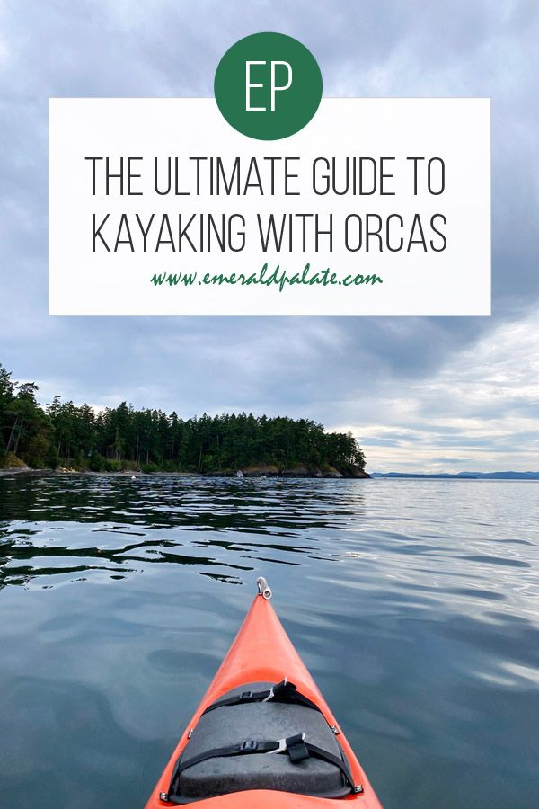best time to kayak with orcas in Seattle