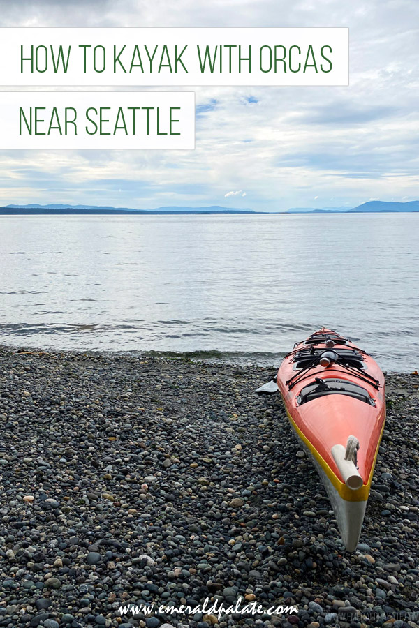 how to kayak with orcas near Seattle