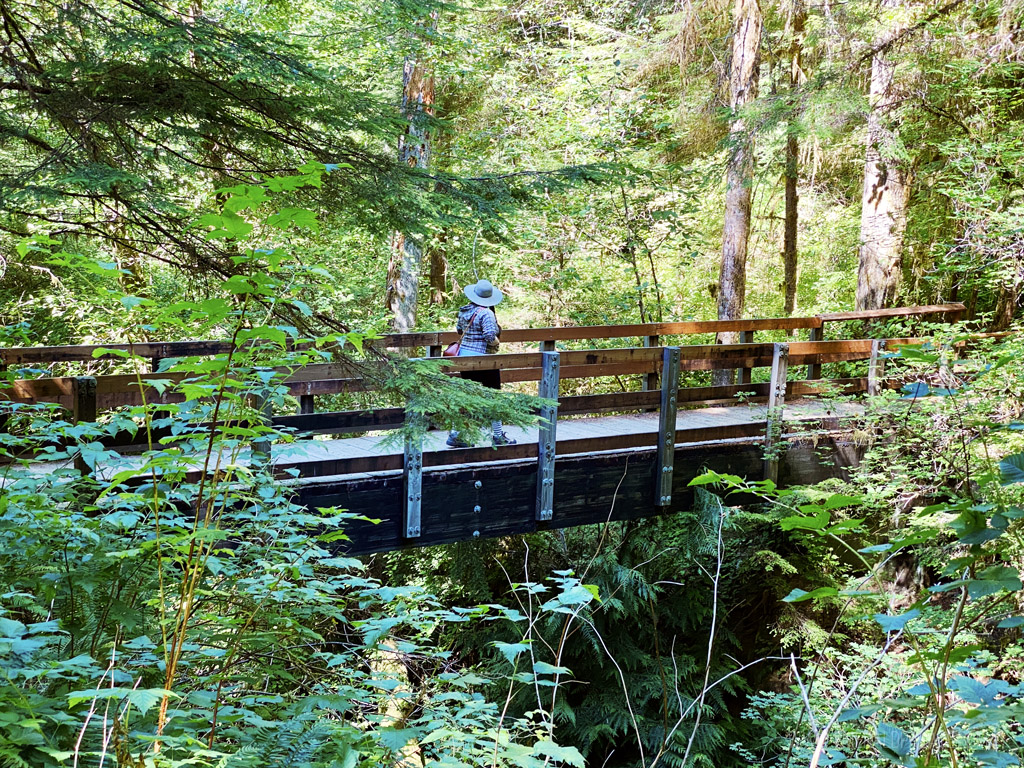woman on bridge on Lake Quinalt Trail, a must-visit Washington coast attraction