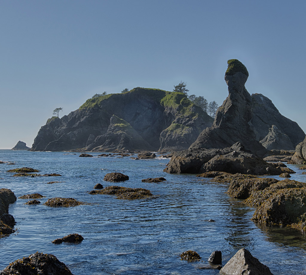 sea stacks at Shi Shi Beach