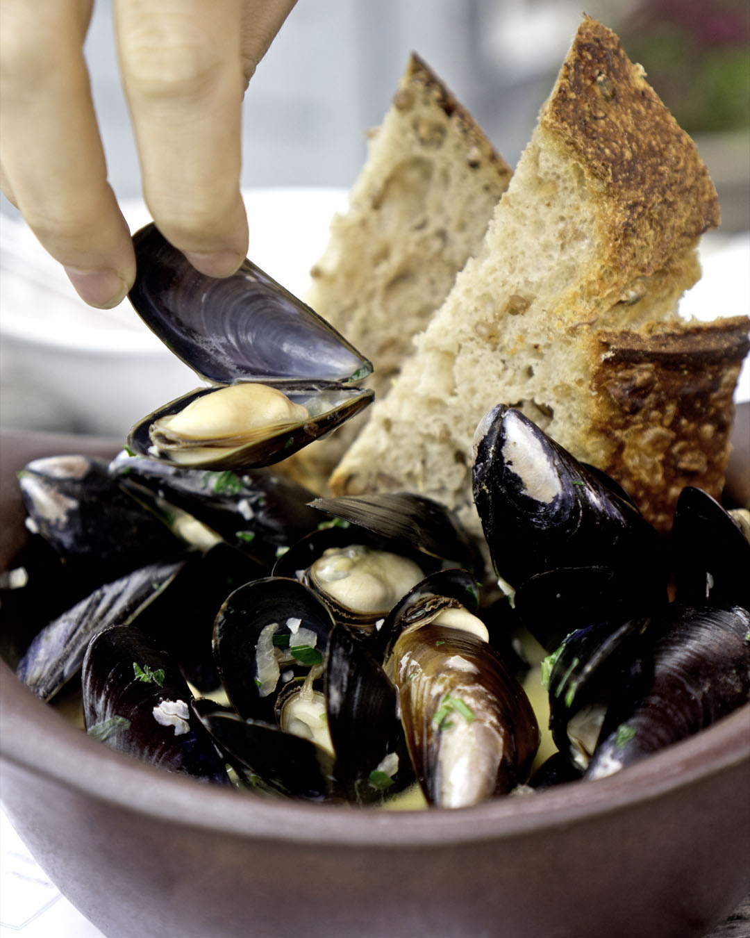 person picking up Penn Cove mussels