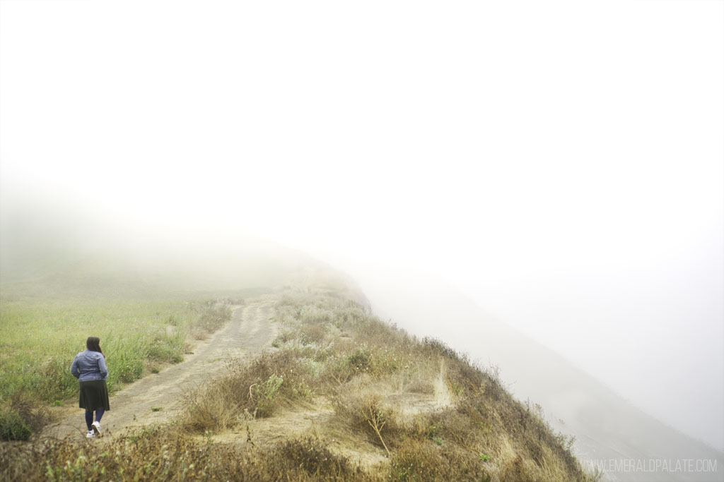 person walking along beach bluff in fog at Ebey Landing on Whidbey Island