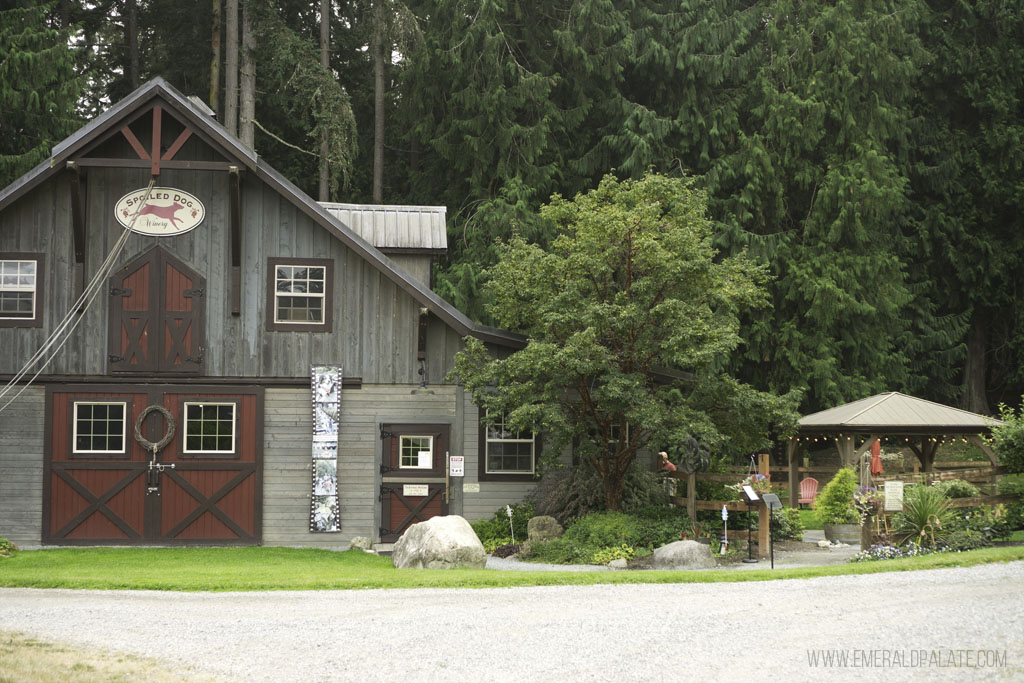 Spoiled Dog Winery, one of the best wineries in the Pacific Northwest on Whidbey Island