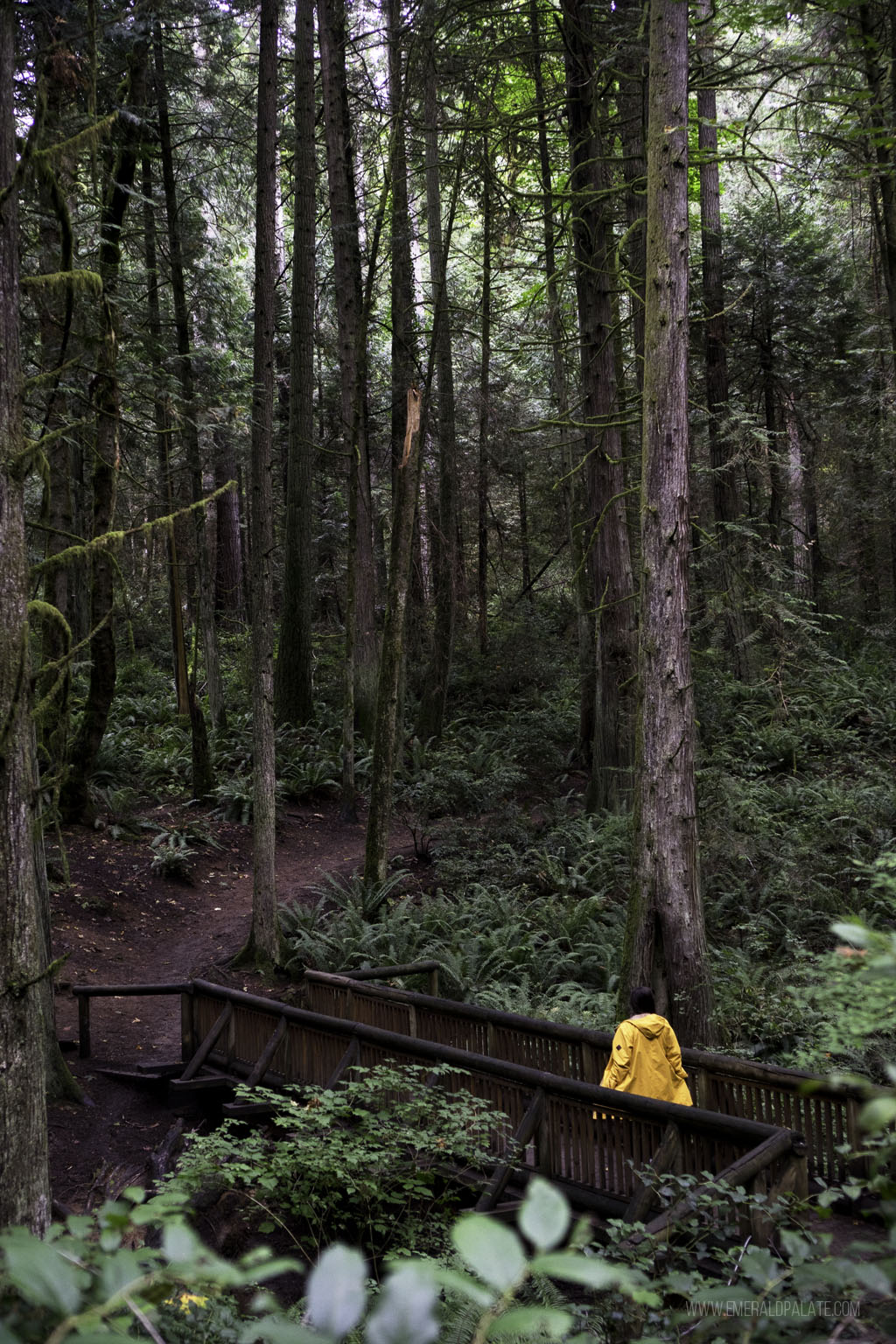 woman crossing bridge in woods