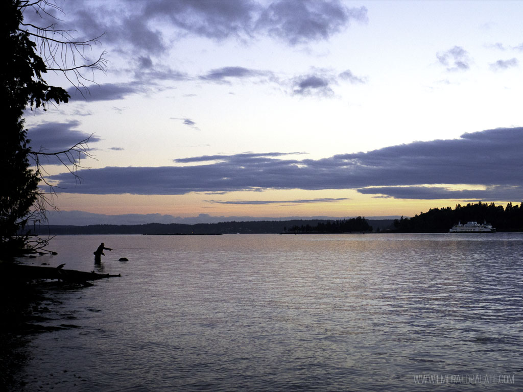 person fish during sunset during a day on Bainbridge Island