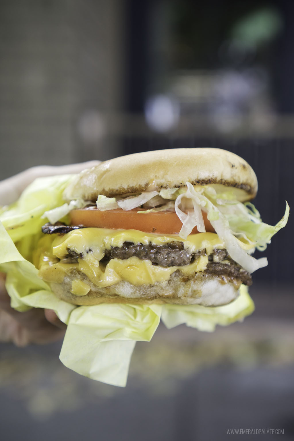 person holding up cheeseburger during one day on Bainbridge Island