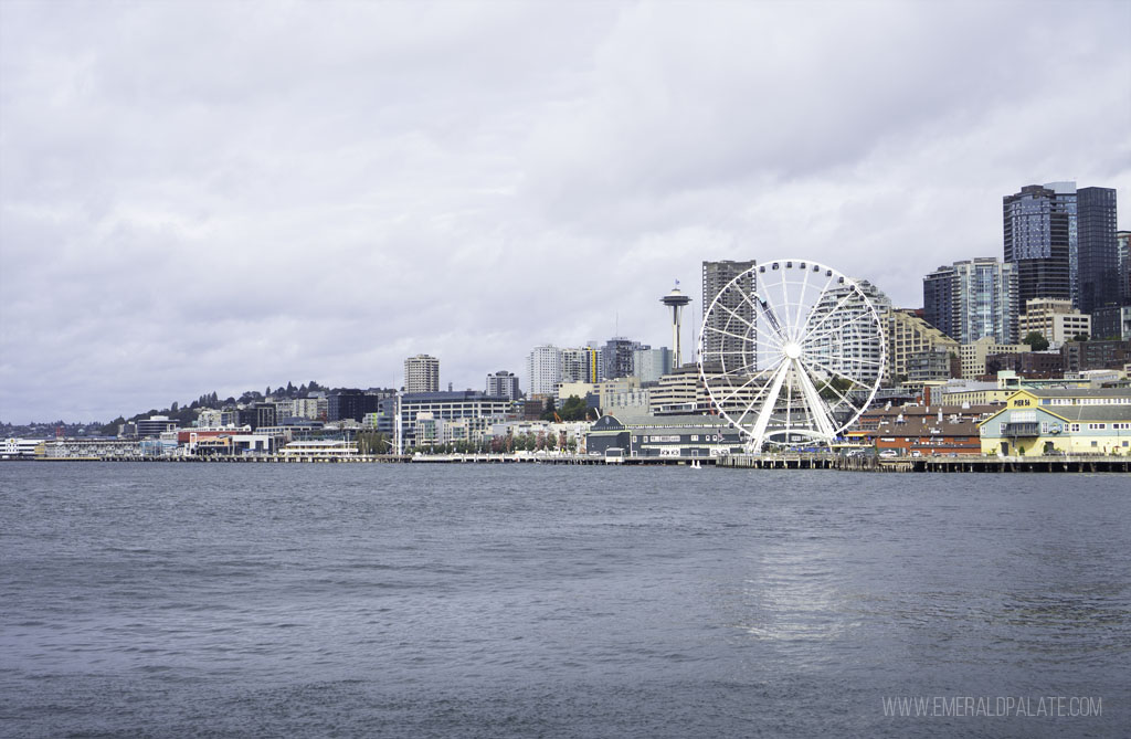 downtown Seattle skyline, one of Seattles best shopping destinations