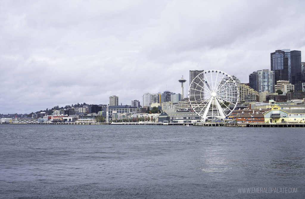 downtown Seattle cityscape view from a boat tour experience gift