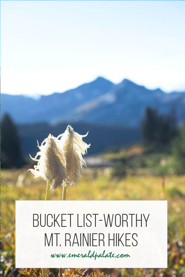 bucket list-worthy Mt. Rainier National Park