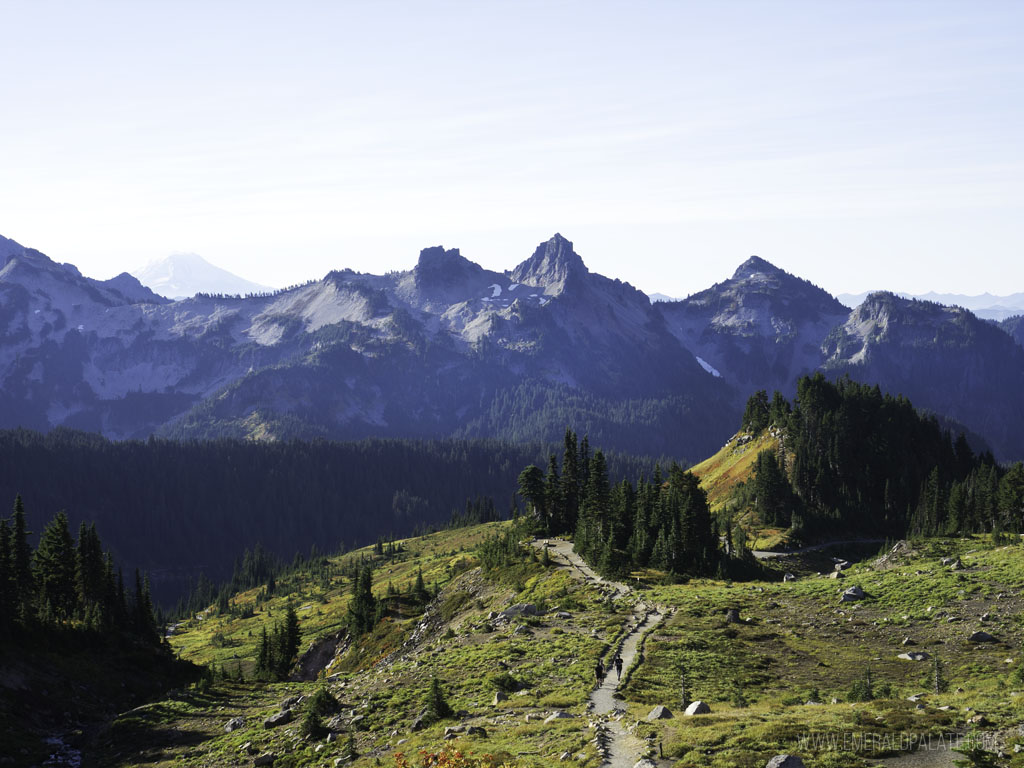 Skyline Trail at Paradise, a must visit on a Mount Rainier day trip from Seattle