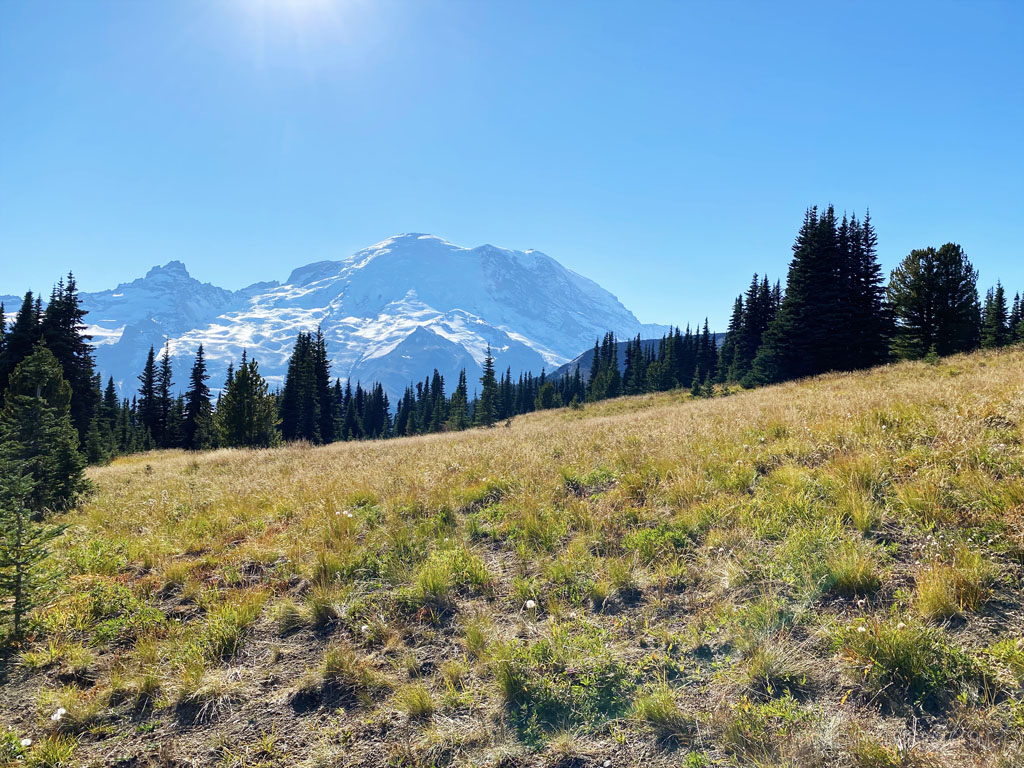 Mt Rainier peak at Sunrise visitors center