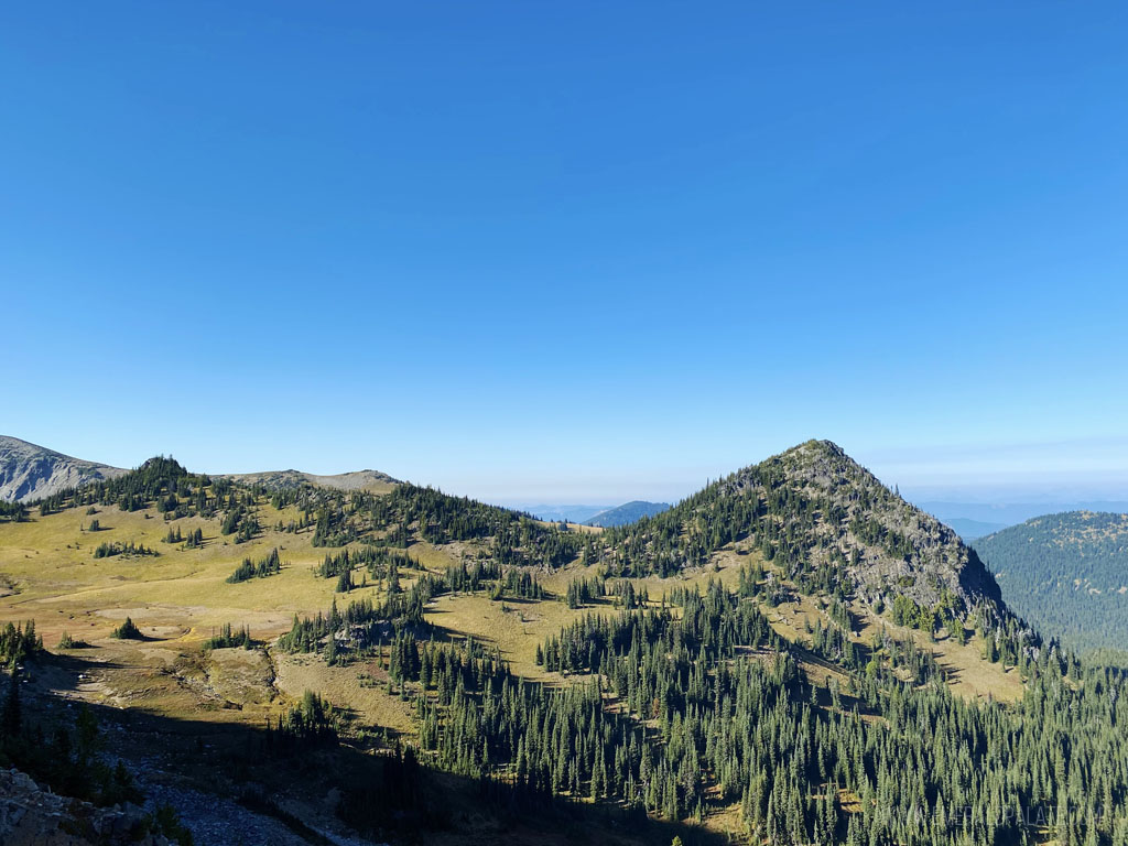 Sunrise Valley at Mt Rainier National Park