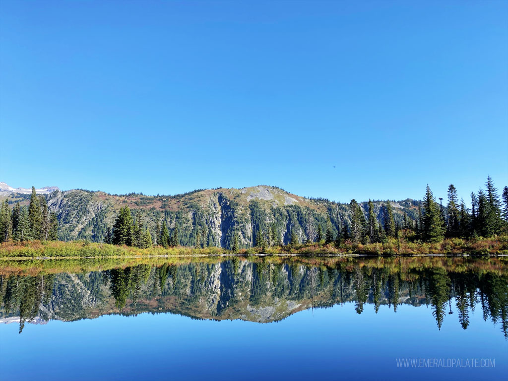 mountain reflecting in Reflection Lake in Mount Rainier National Park