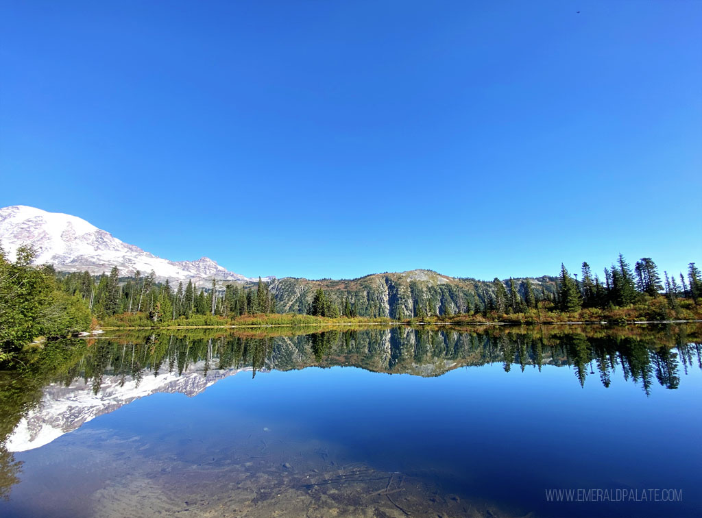 snowy Mt rainier and trees reflecting in Reflection Lake