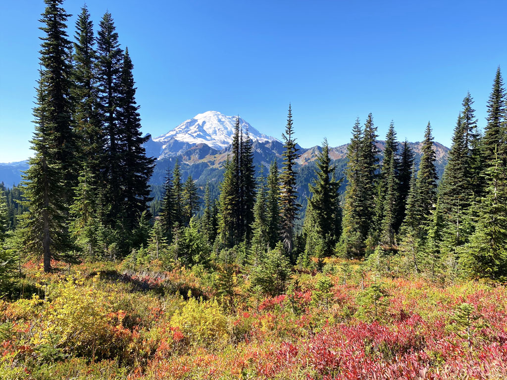 How to plan for hikes at Mt Rainier National Park