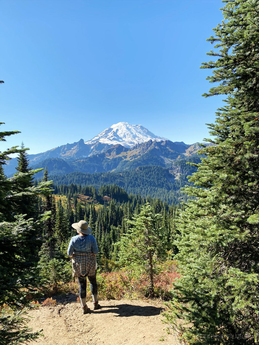 woman looking at Mt Rainier peak from a hike during a Mt Rainier day trip