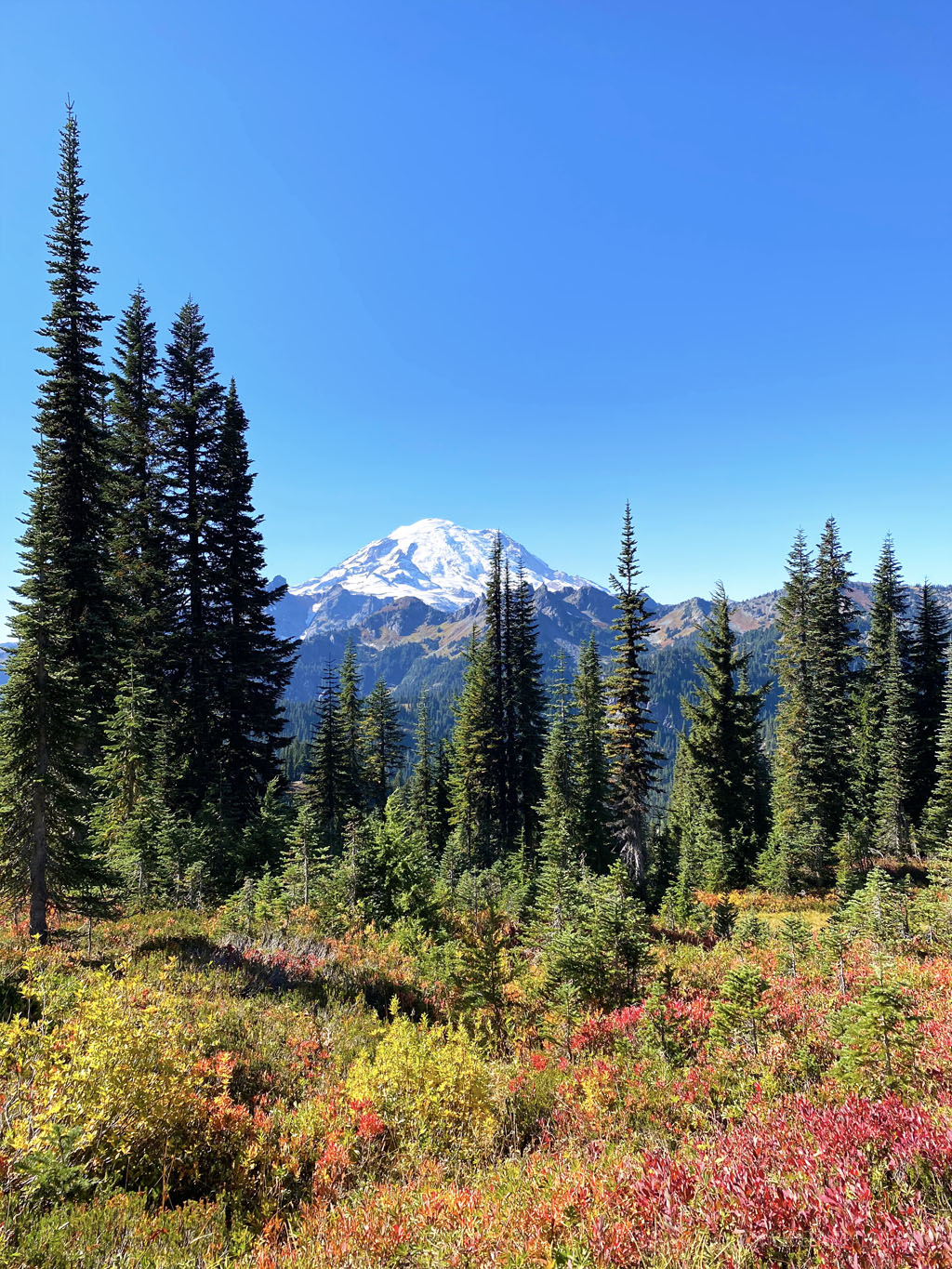 Mt Rainier peak on a hike with fall foliage