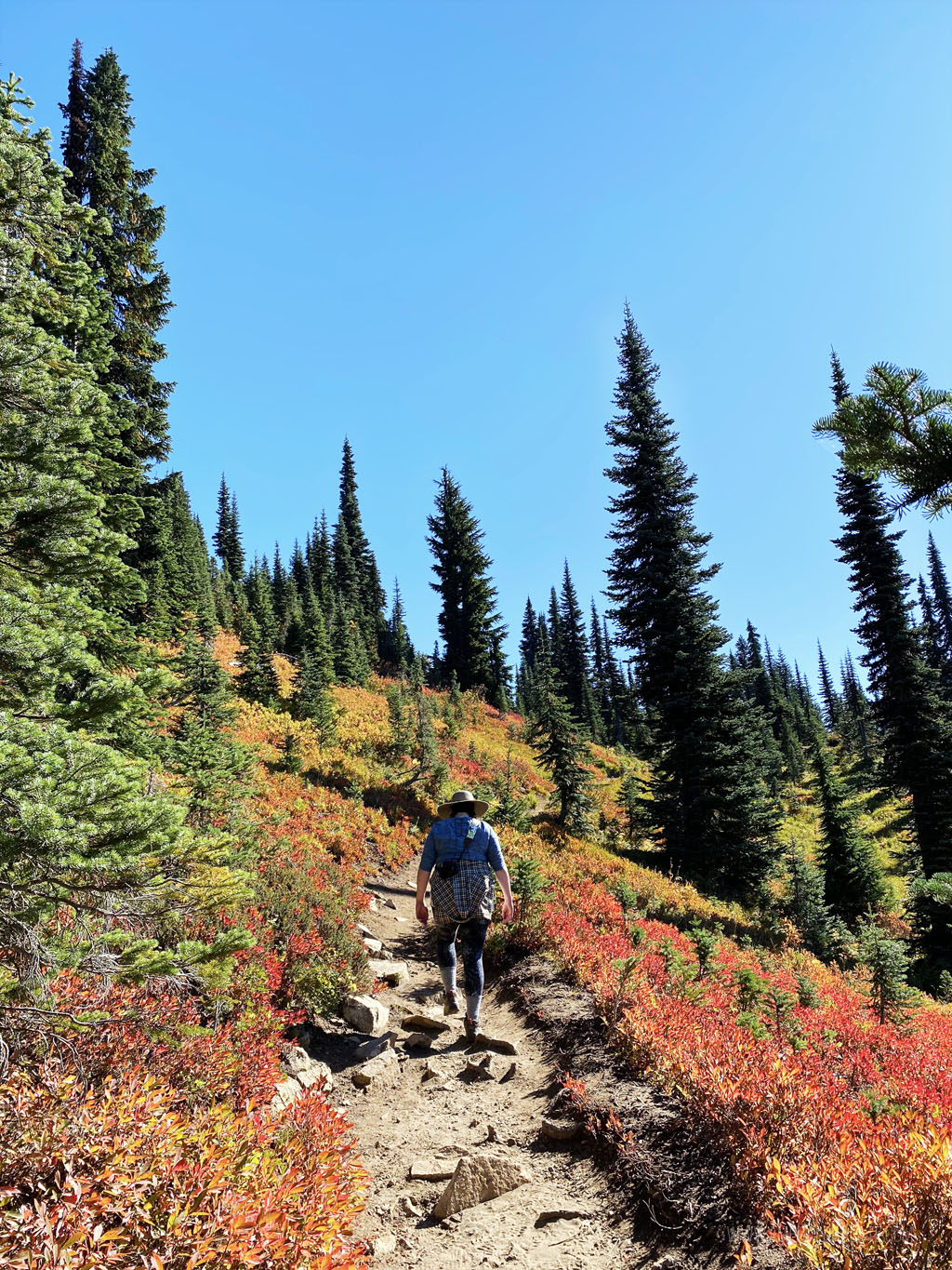 woman walking on a hike with fall colors on a hike in Mount Rainier National Park