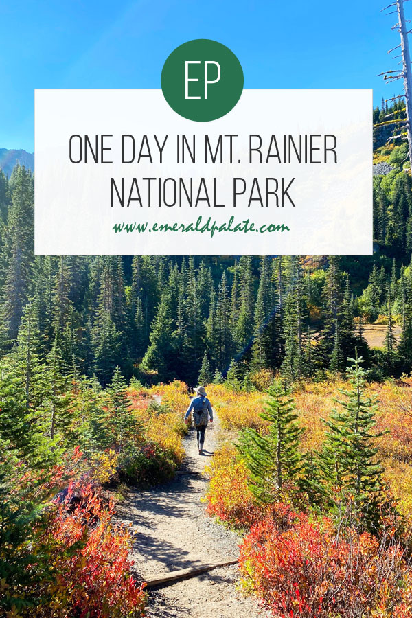 one day in Mt. Rainier National Park
