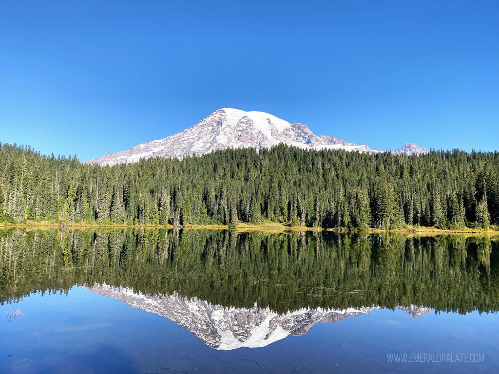 Mt Rainier reflecting in water at Reflection Lake