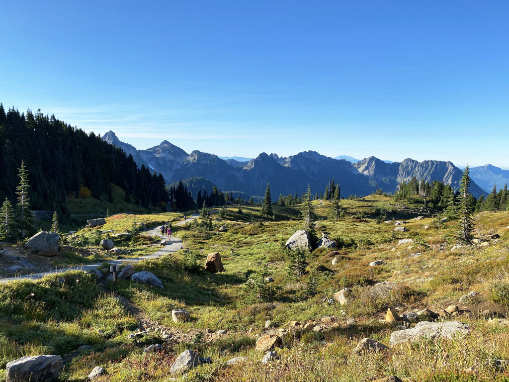 Skyline Trail at Paradise, a must visit on a Mount Rainier day trip from Seattle