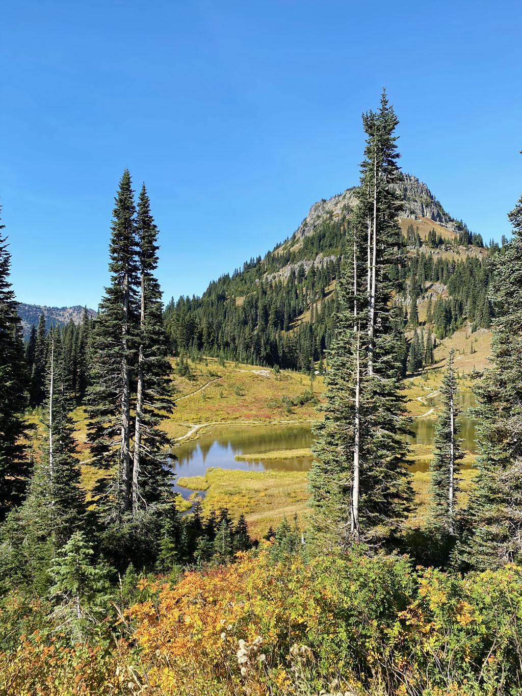 Tipsoo Lake in Mt Rainier National Park