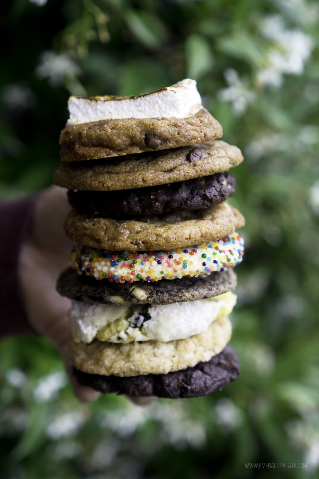 Stack of cookies from a Seattle cookie delivery