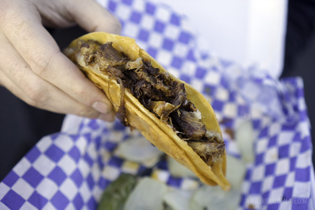 close up of a fried cheese taco, some of the best Seattle street tacos