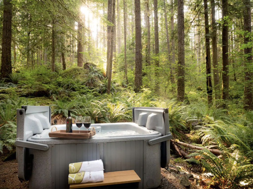 hot tub in a forest of a winter cabin for rent in Washington state