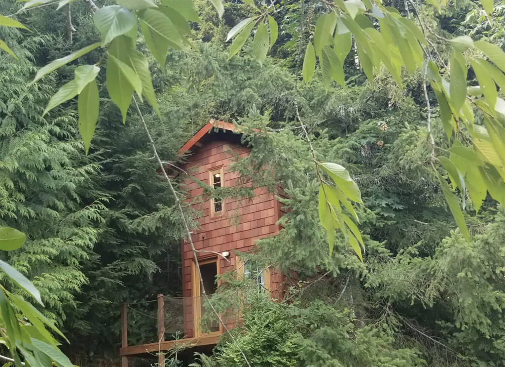 treehouse cabin in Washington tucked into forest