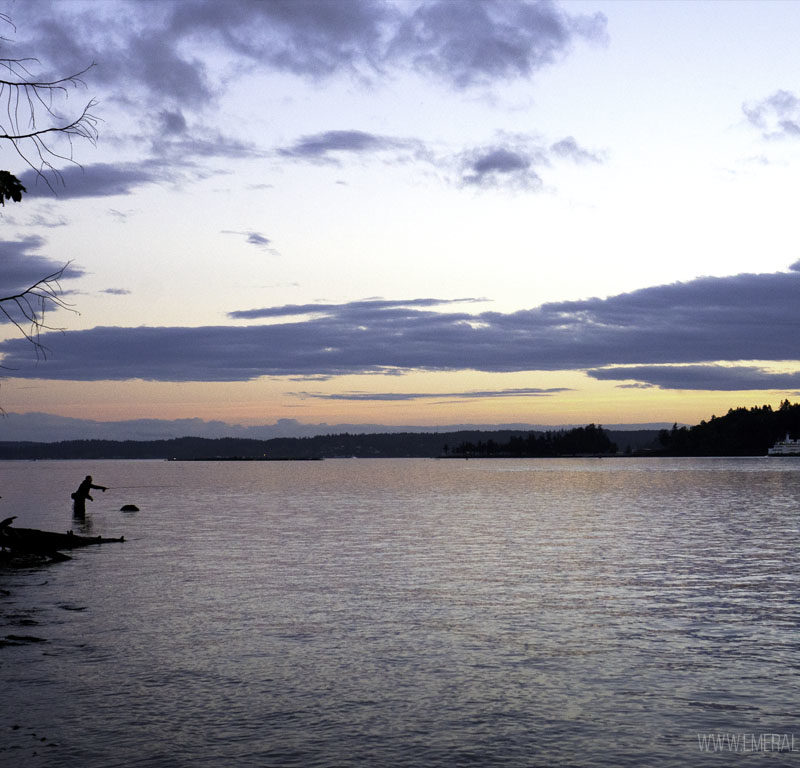 person fishing at sunset