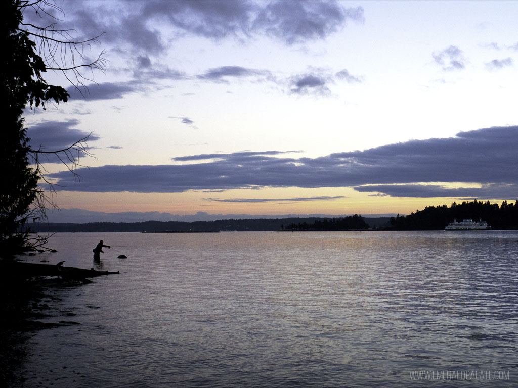 person fishing at sunset