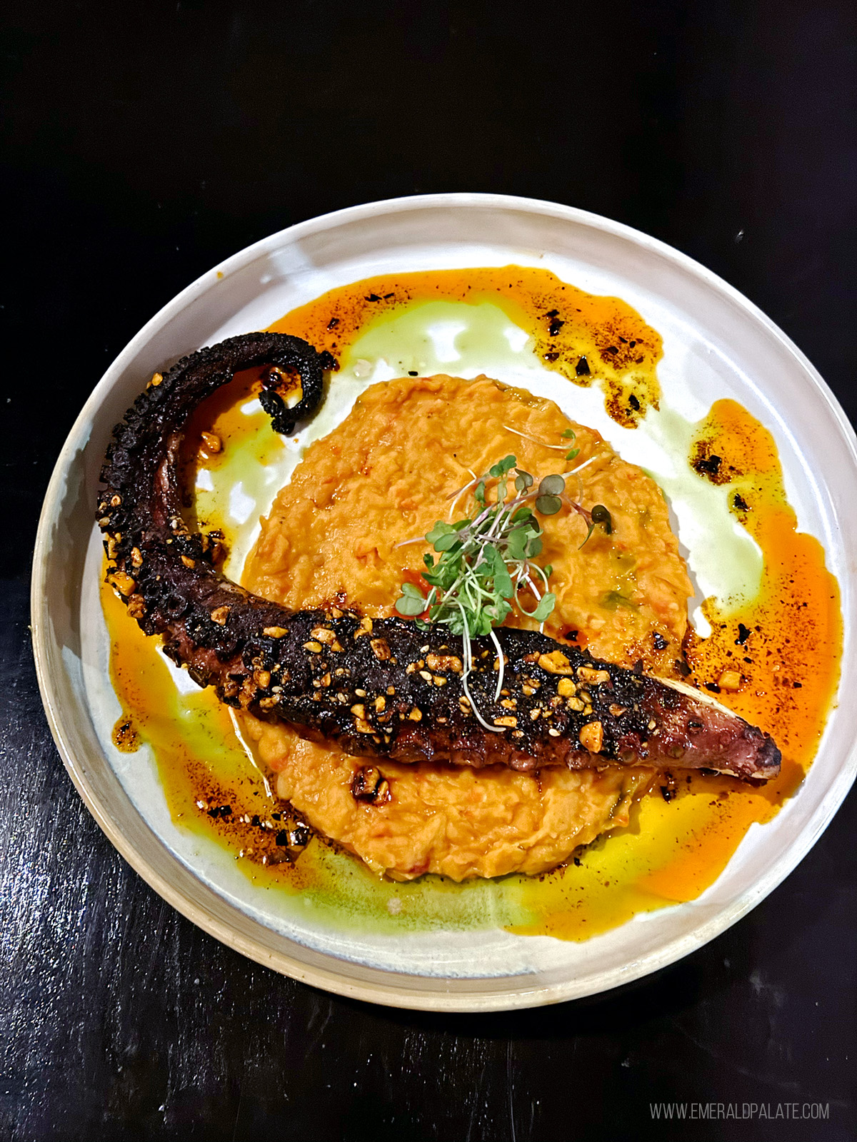 plate of octopus with pureed vegetables and sauces