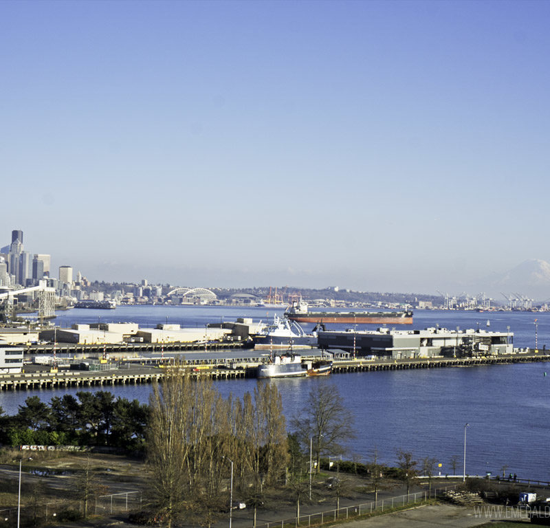 The Best Seattle Viewpoints for Breathtaking Water Views