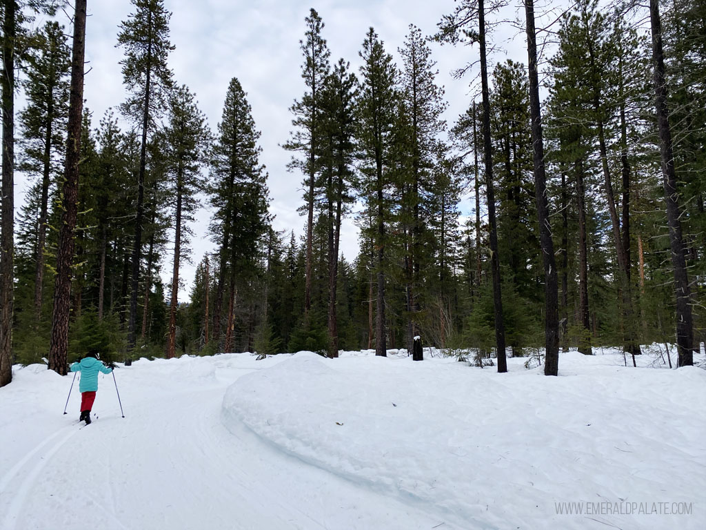 kid on a cross country ski trail in WA
