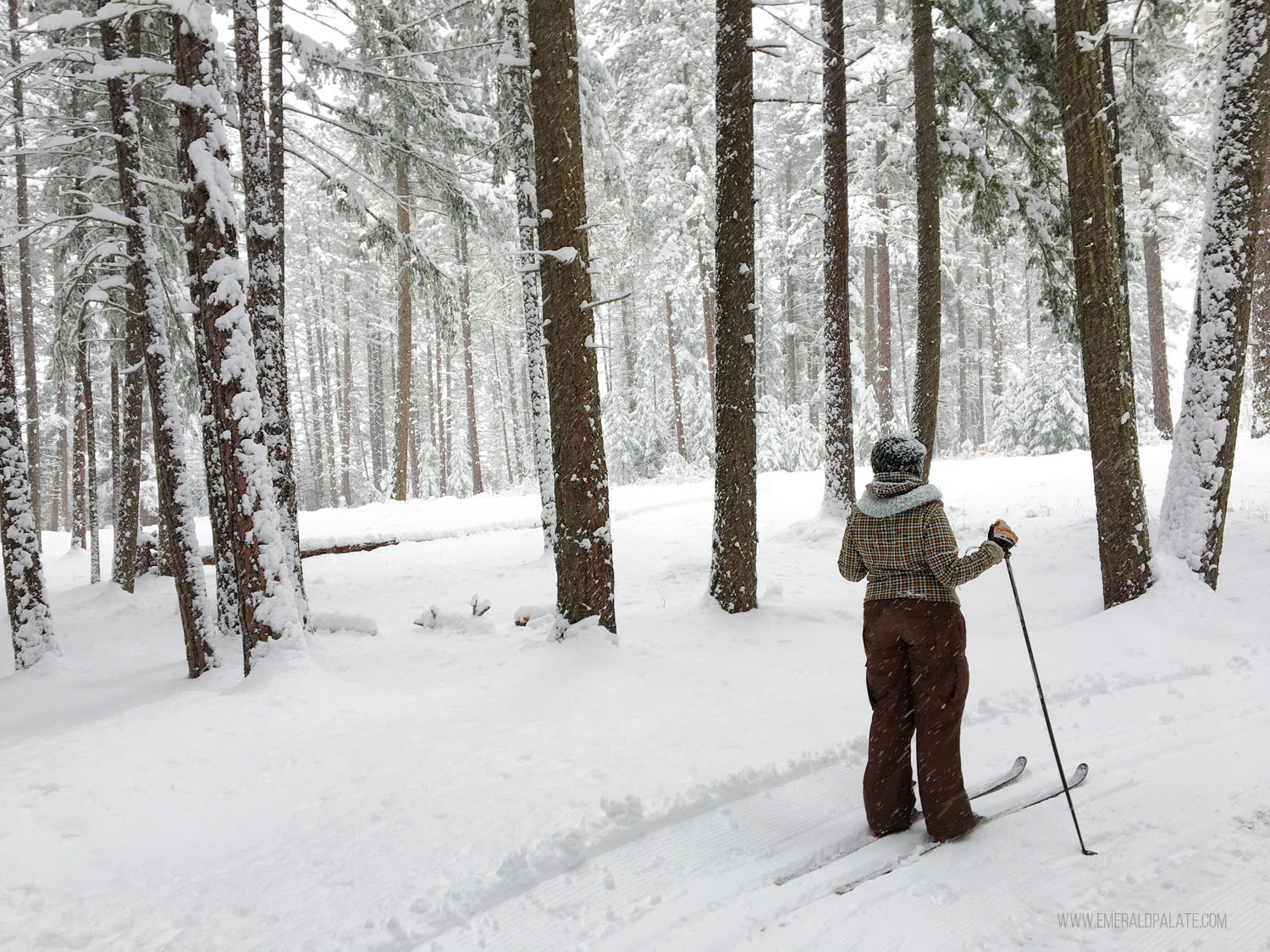 woman cross country skiing in woods in Leavenworth