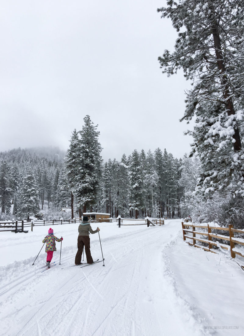 woman and child cross country skiing in Washington