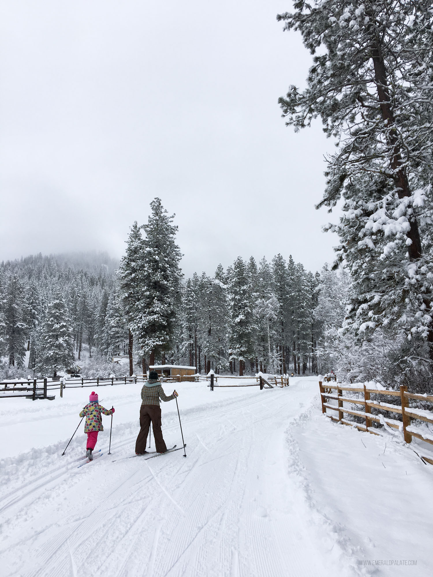 woman and child cross country skiing in Washington