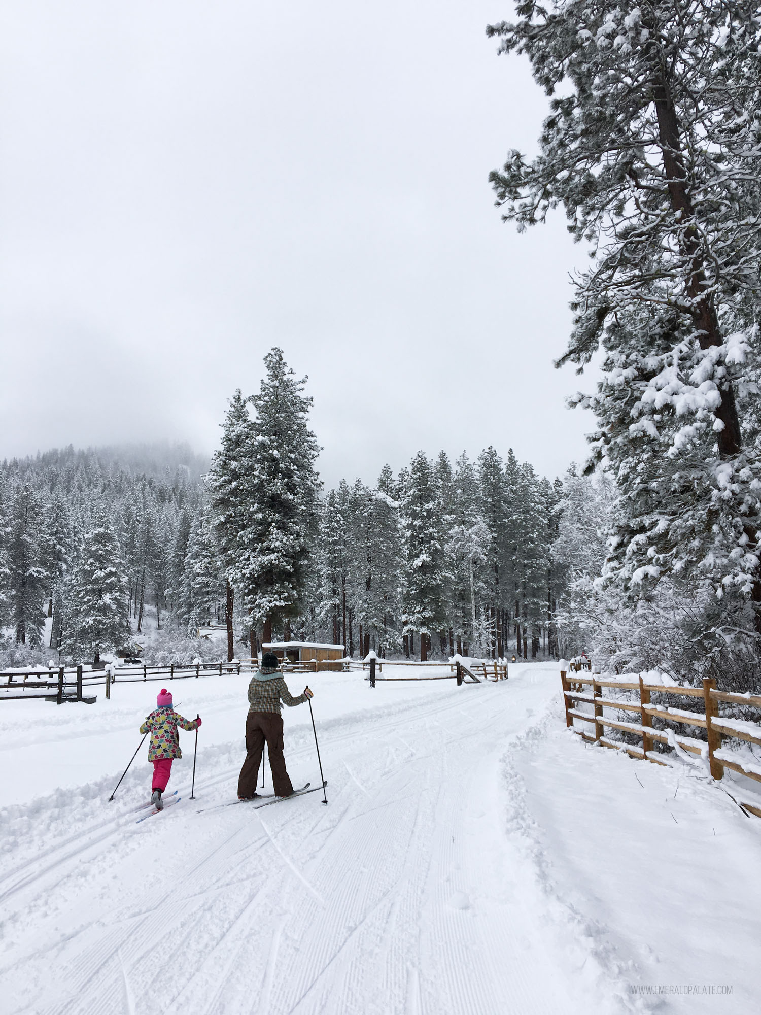 Your guide to 6 great cross-country ski areas within a day trip from  Seattle