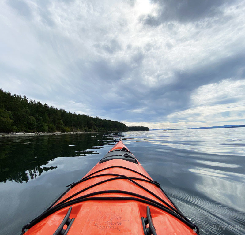 Best Time To Kayak With Orcas in Seattle