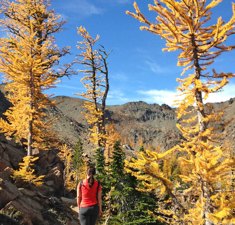 woman walking on a trail surrounded by larches