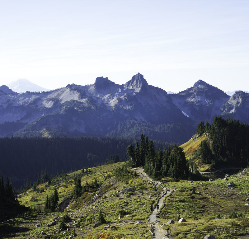 The Ultimate Mount Rainier Day Trip from Seattle