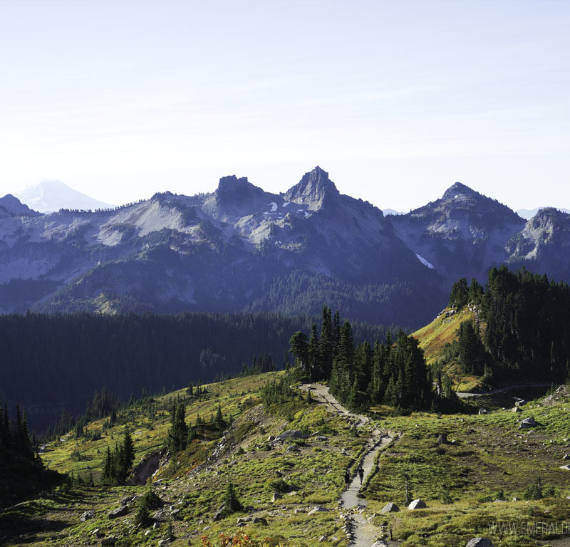 Mount Rainier National Park