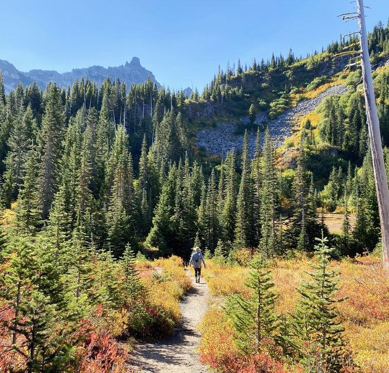 woman walking on Mt Rainier hike trail with beautiful fall colors