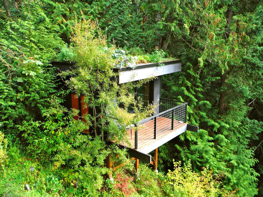 modern home nestled in trees, a romantic airbnb Washington state