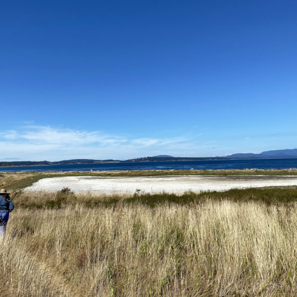 Jackle's Lagoon on San Juan Island