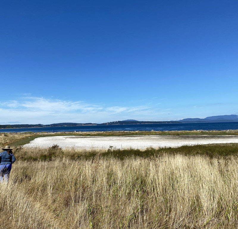 Jackle's Lagoon on San Juan Island